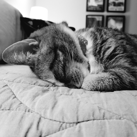 Meet your Posher, Jaclyn - Picture 2 of 2